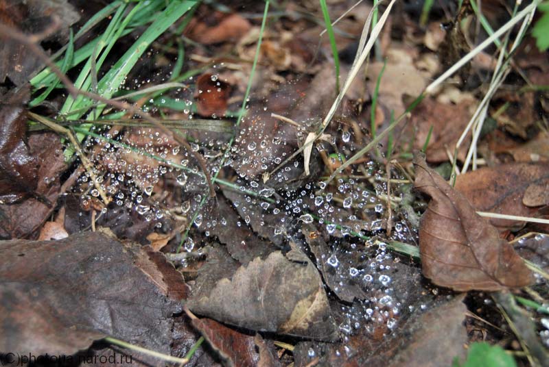 CSC_0250small.jpg